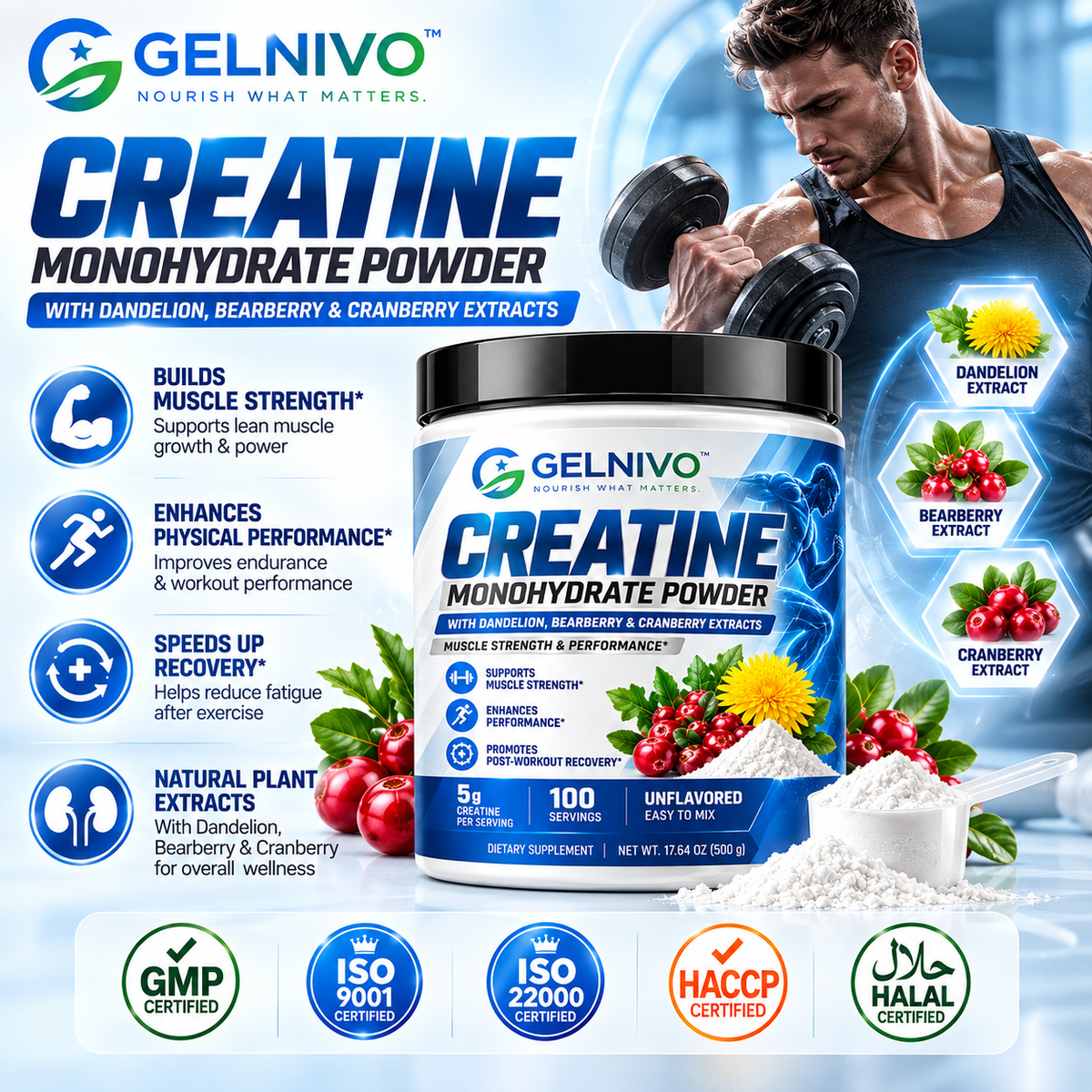 Micronized Creatine Monohydrate Powder 5g with Optional Botanical Extracts for Muscle Strength & Performance | OEM/ODM Private Label