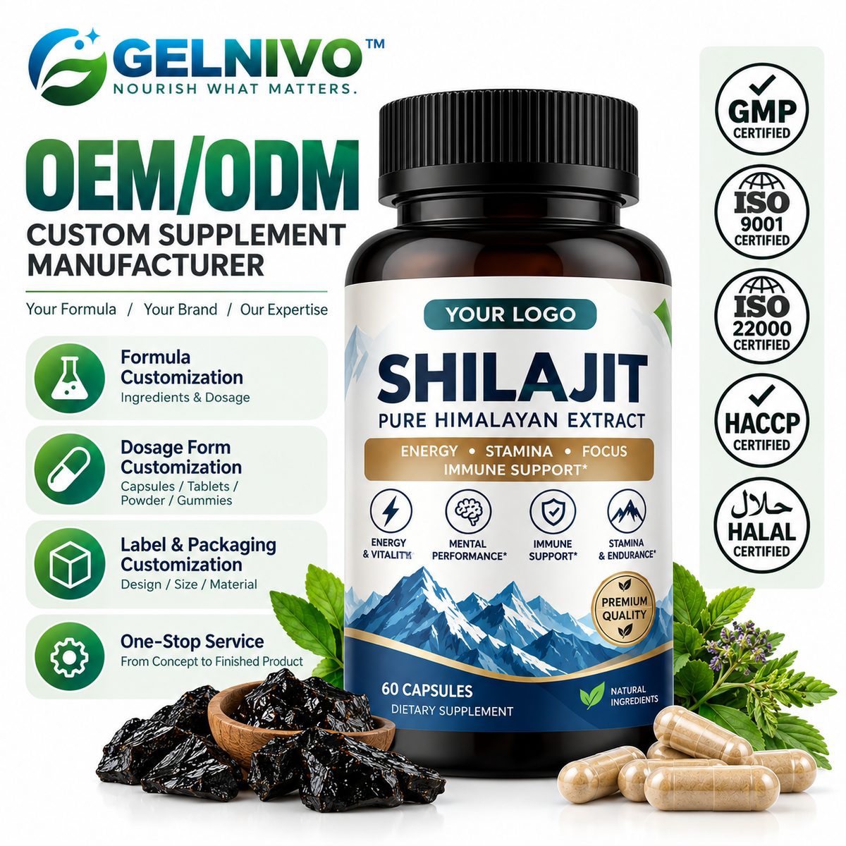 Himalayan Shilajit Extract Capsules for Energy, Stamina & Vitality Support | OEM/ODM Private Label