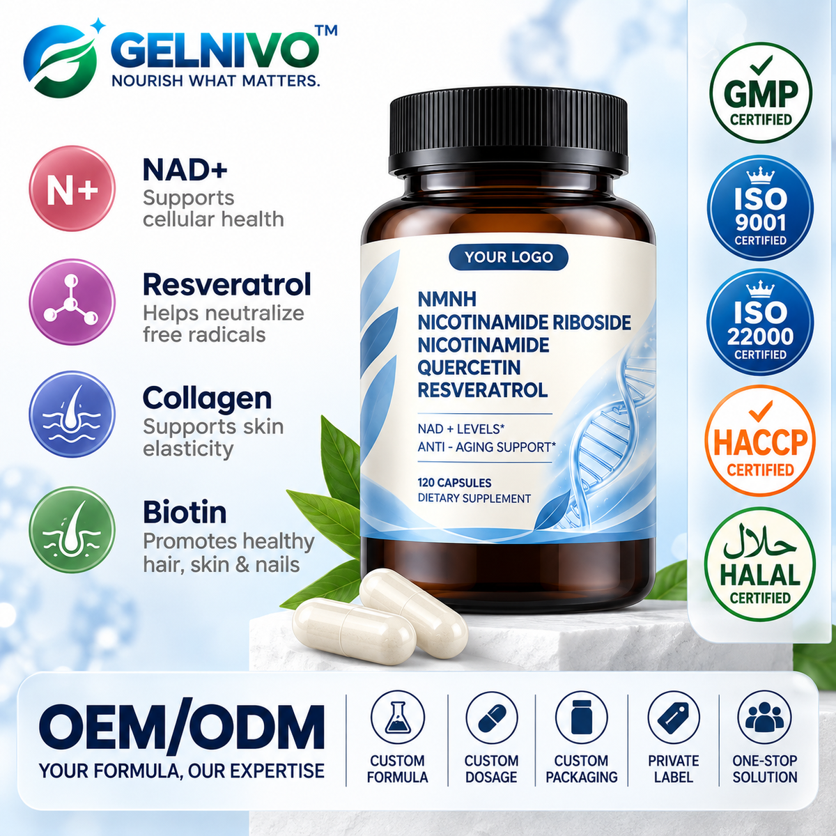 NMNH NAD+ Precursor Complex Capsules with Nicotinamide Riboside, Niacinamide, Quercetin & Trans-Resveratrol | OEM/ODM Private Label
