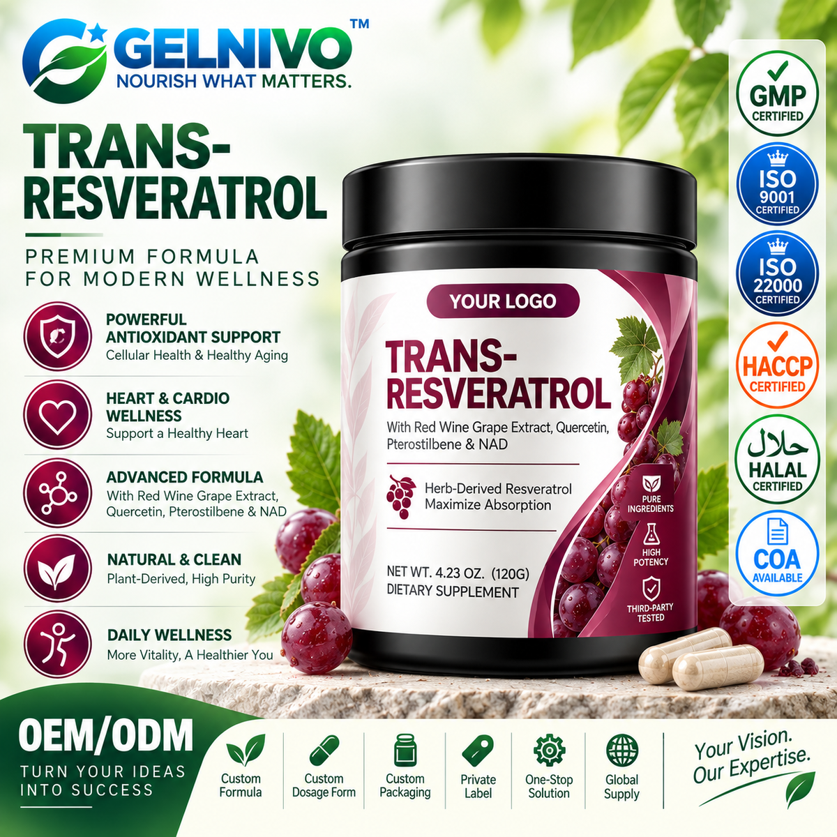Trans-Resveratrol NAD+ Antioxidant Powder with Quercetin & Pterostilbene | OEM/ODM Private Label