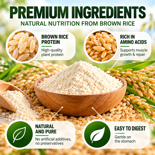 Brown Rice Protein Powder | Plant-Based Protein for Sports Nutrition & Muscle Recovery | OEM/ODM Private Label