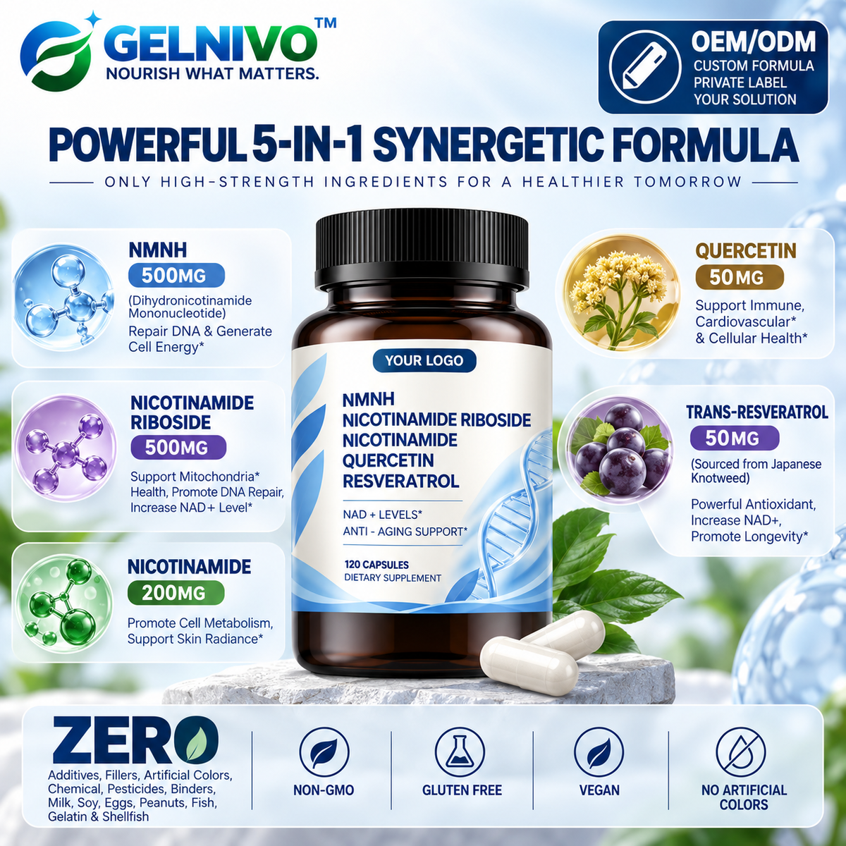 NMNH NAD+ Precursor Complex Capsules with Nicotinamide Riboside, Niacinamide, Quercetin & Trans-Resveratrol | OEM/ODM Private Label