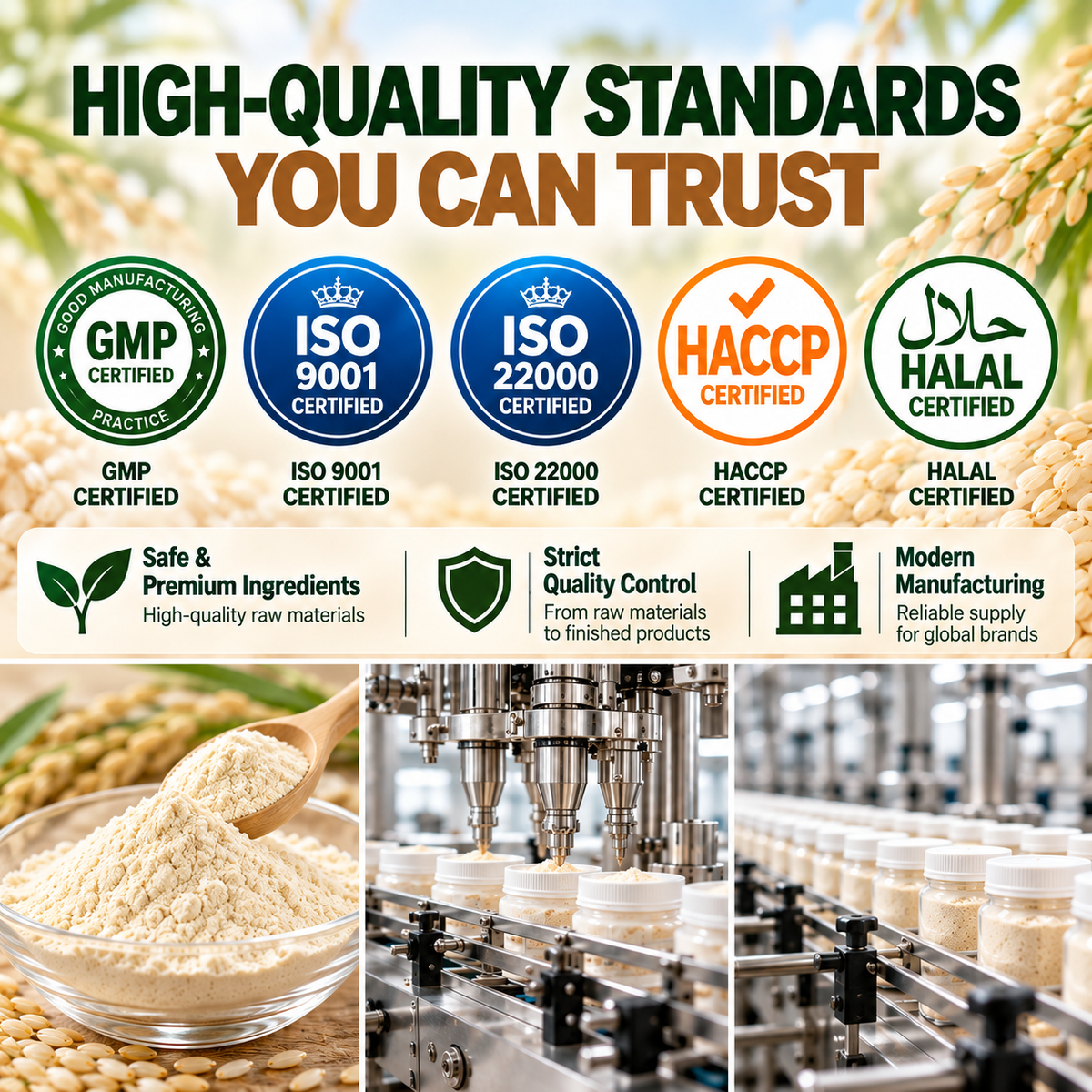 Brown Rice Protein Powder | Plant-Based Protein for Sports Nutrition & Muscle Recovery | OEM/ODM Private Label
