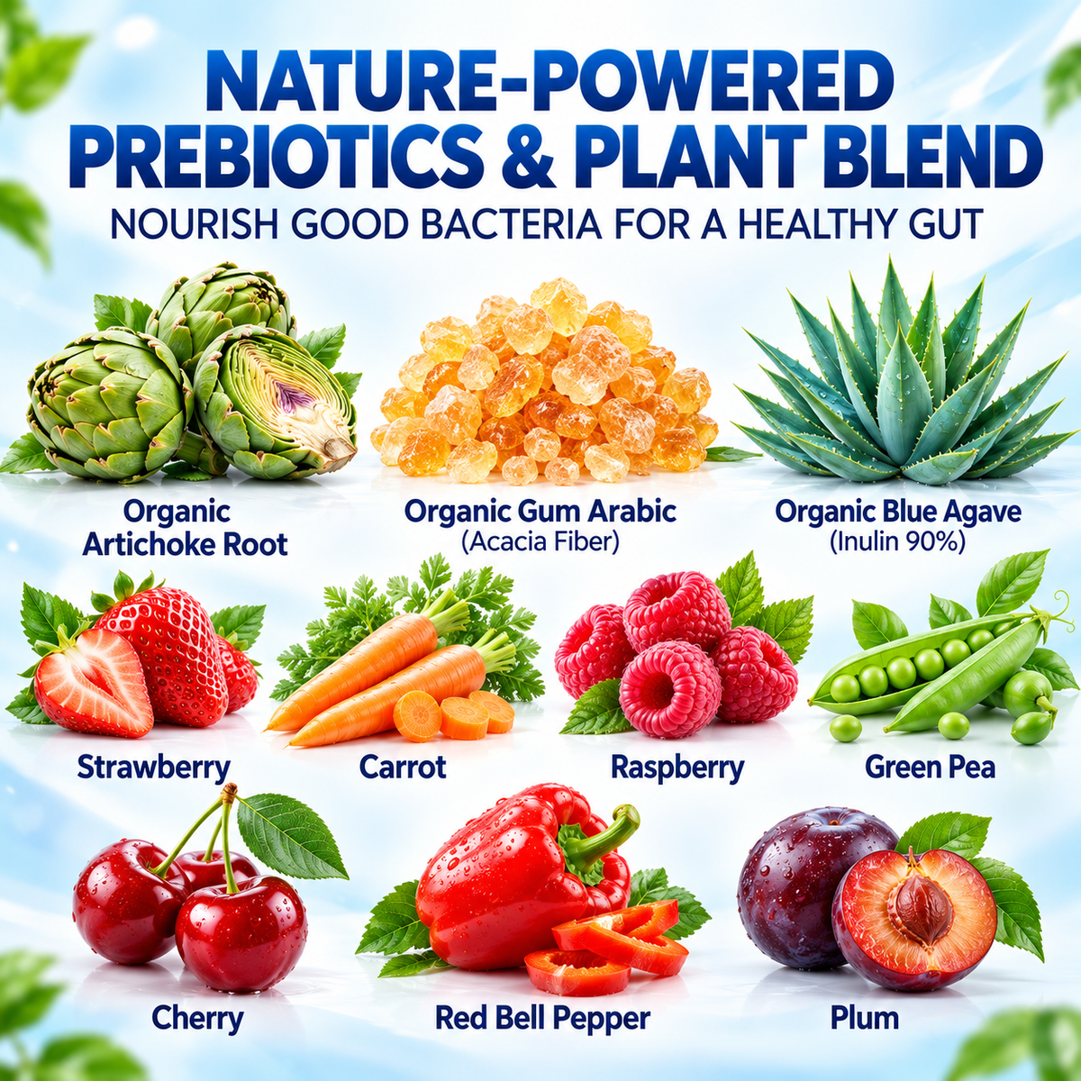 Raw Probiotic 100 Billion CFU 34 Strains with Prebiotics & Digestive Enzymes | OEM/ODM Private Label